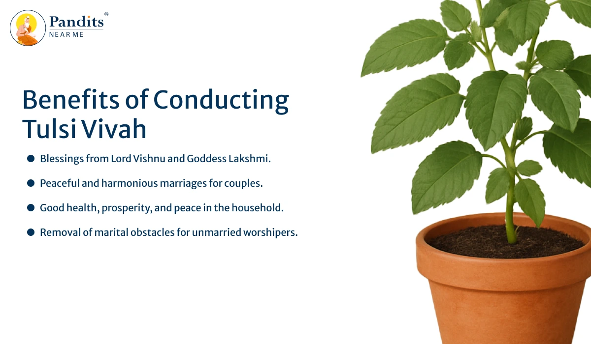 Benefits of Conducting Tulsi Vivah