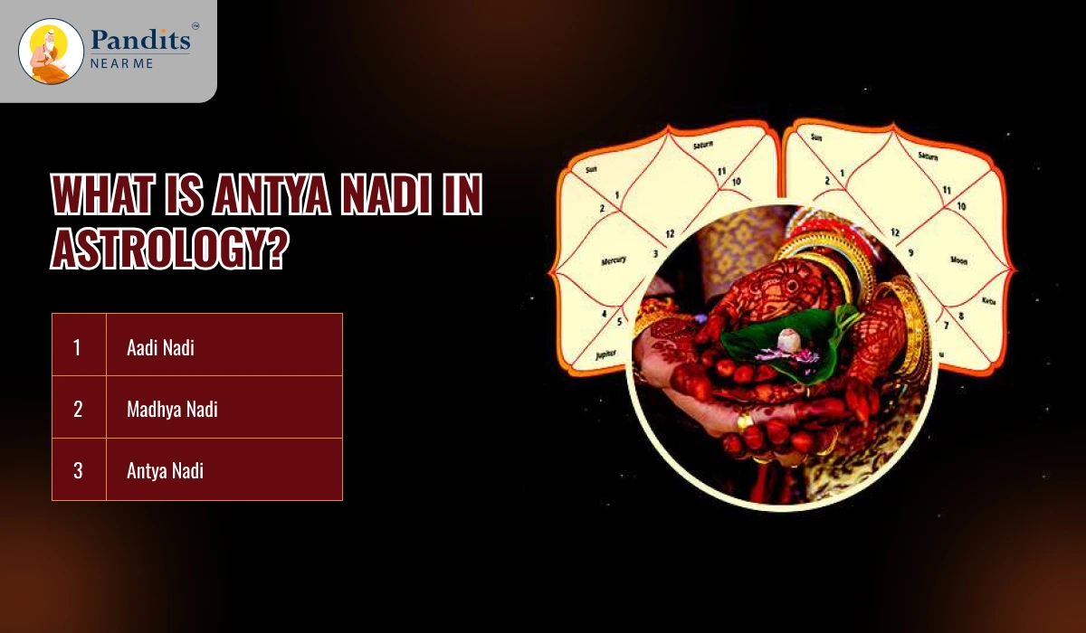 What is Antya Nadi in Astrology