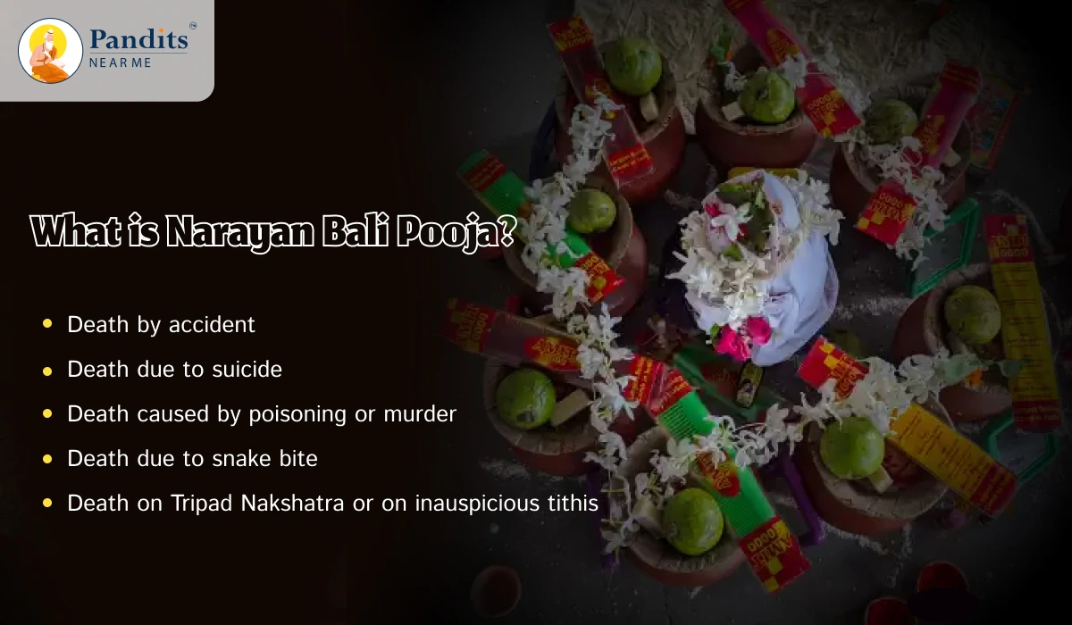 What is Narayan Bali Pooja