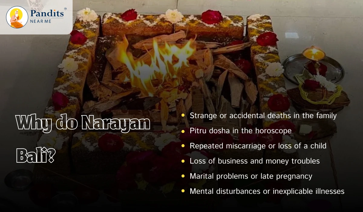 Why do Narayan Bali