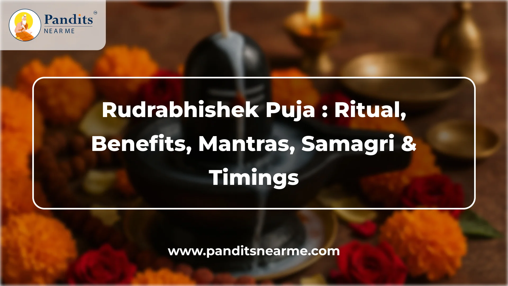 how to perform the rudrabhishek puja 1