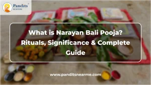 what is narayan bali pooja rituals significance and complete guide