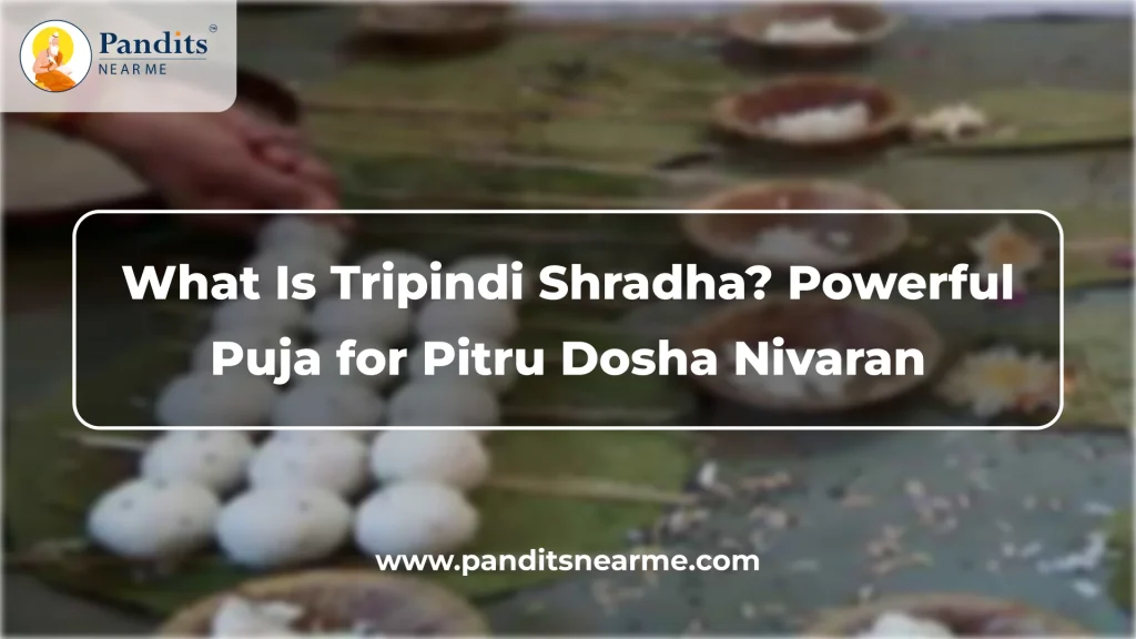 what is tripindi shradha powerful puja for pitru dosha nivaran