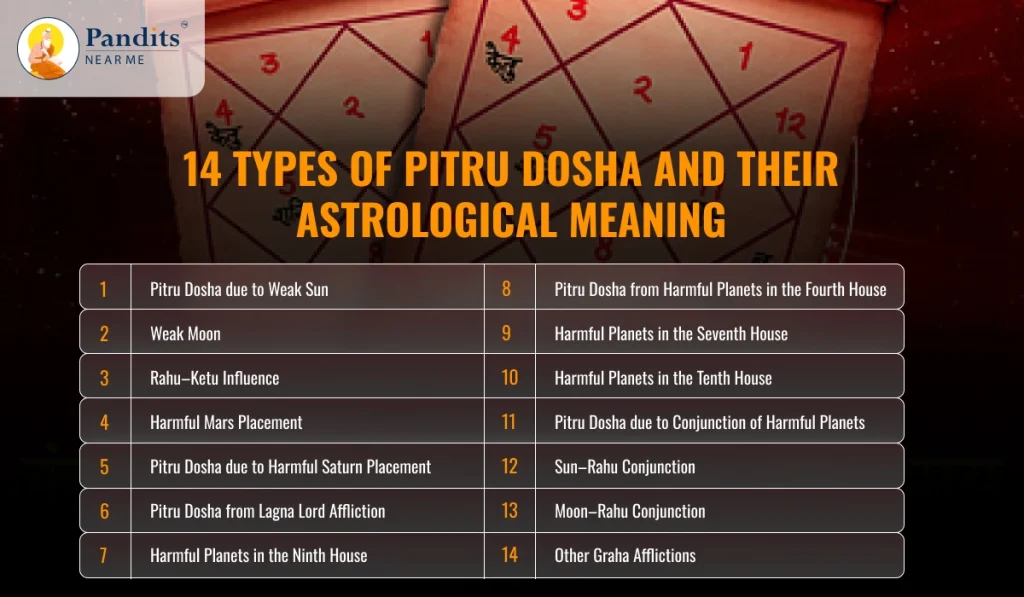 14 Types of Pitru Dosha and Their Effects in Your Life 375 14 Types of Pitru Dosha and Their Astrological Meaning